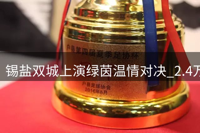 锡盐双城上演绿茵温情对决 2.4万球迷见证苏超经典之战